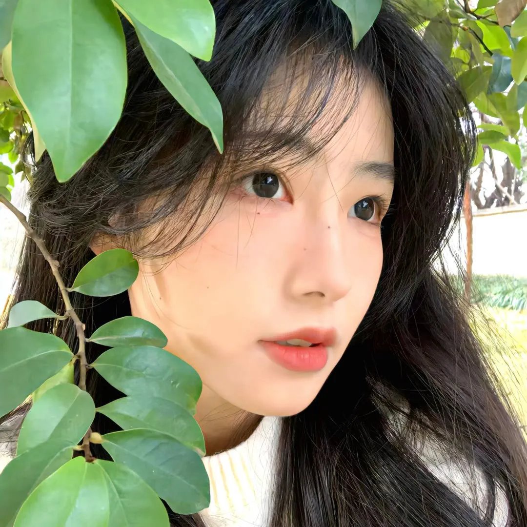 孔雀的羽毛